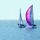 东方龙（朋友圈权限）