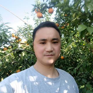 森林燚