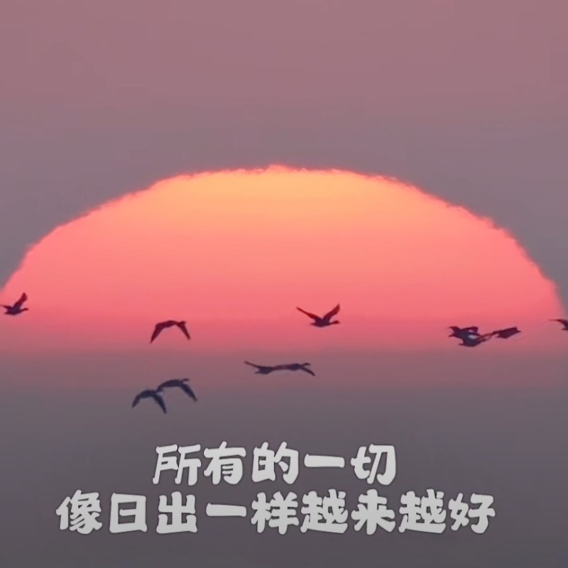 138xxxx5559