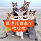 大口吃肉