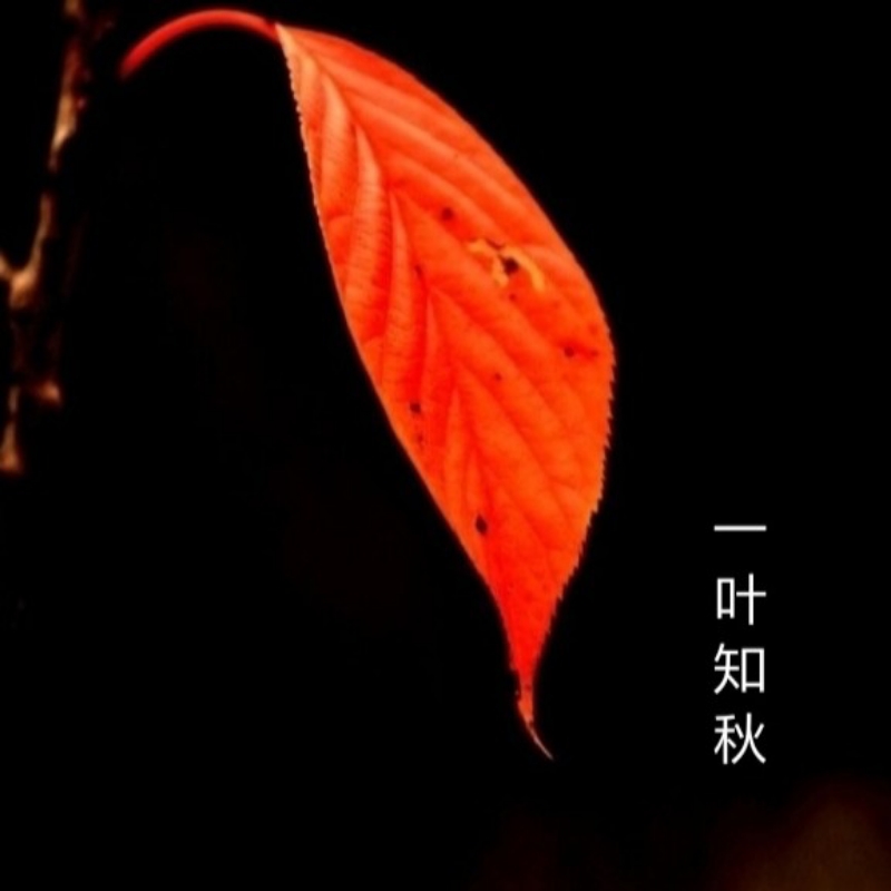 轻风细雨