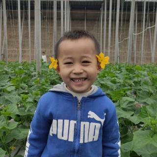 我大爷