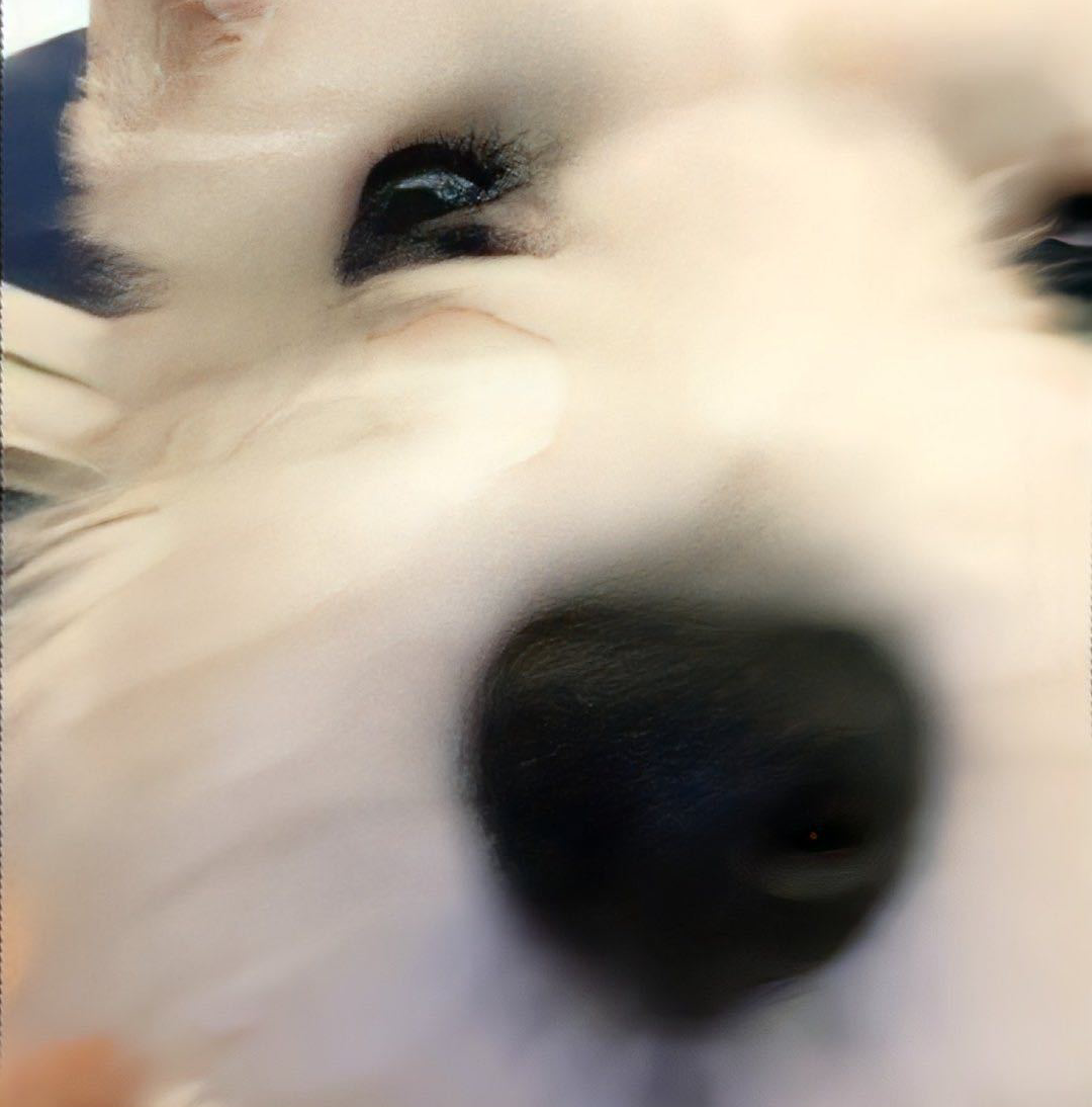 空球大人