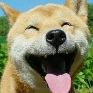 非铁杆碗友