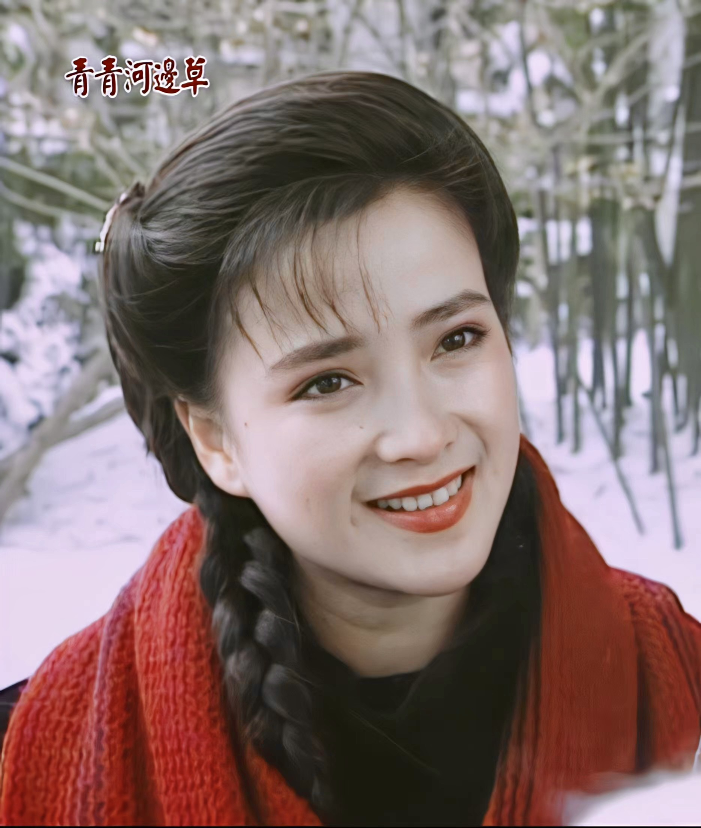桃红又是一年春XR