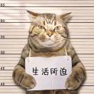 密度
