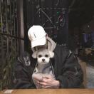 檄