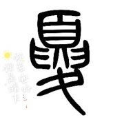 夏巧芸