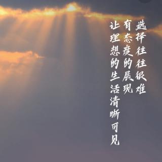 喵小姐26