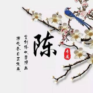 陈晓岩