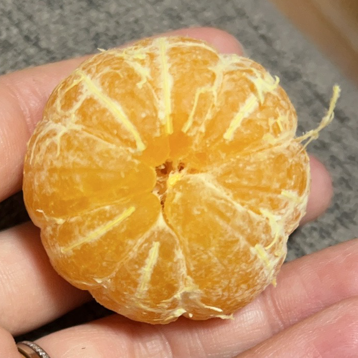 橘子🍊