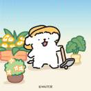荷包蛋13