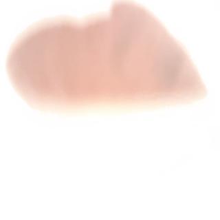 958218251