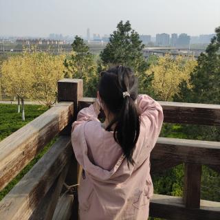 栋之春
