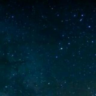 昭桦