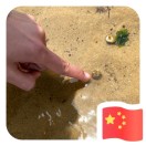 左耳会笑