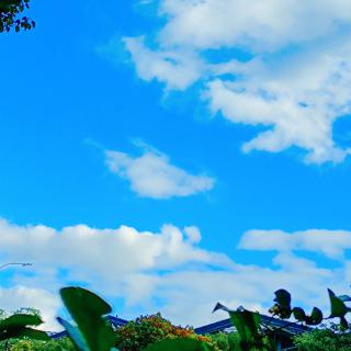 空空竹