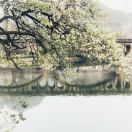 暮雨