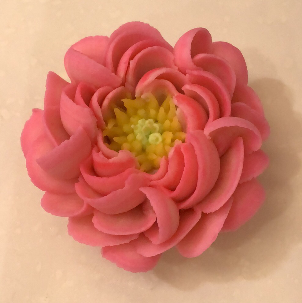 禅缘