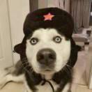 张三先生