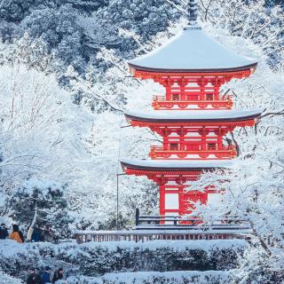 映山红