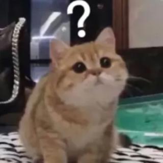 张D