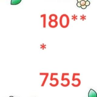 1213584706