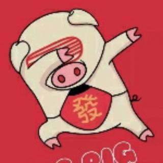 会飞的猪猪🐷