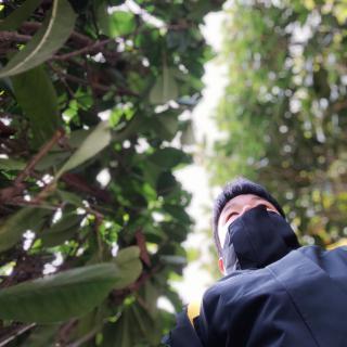 威º