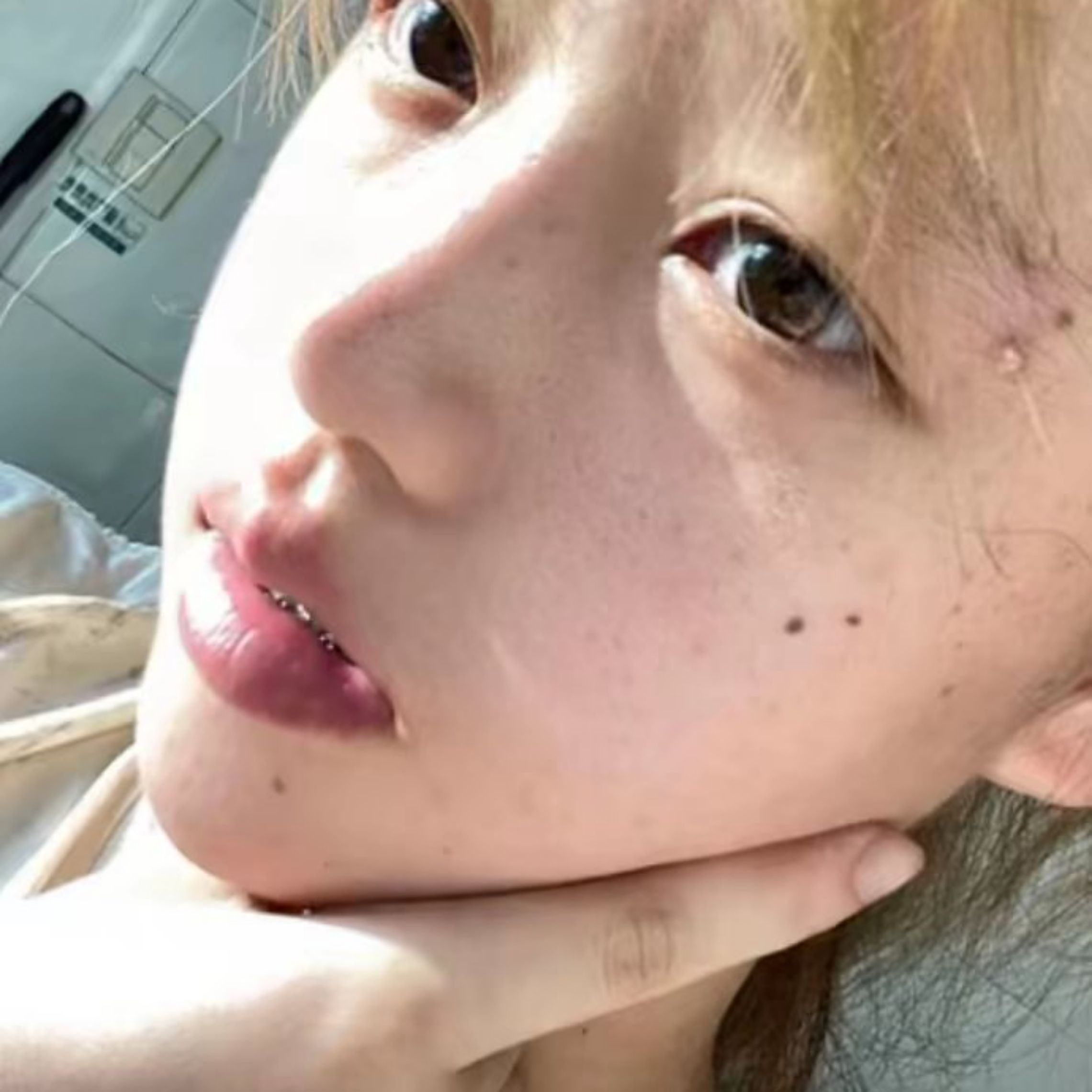 龙鲨