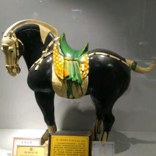 张豪琳