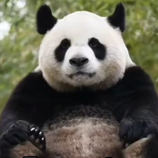 是秋啊