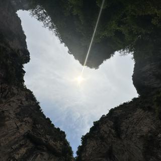 仰望星空的蚂蚁