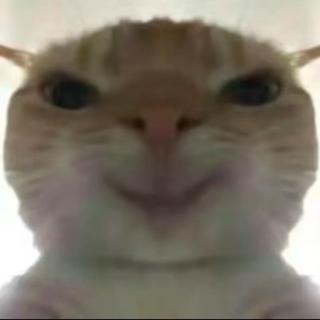 衣服