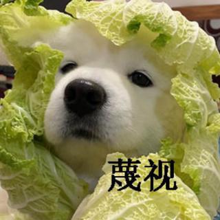 孙凯鑫