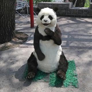 追梦青年