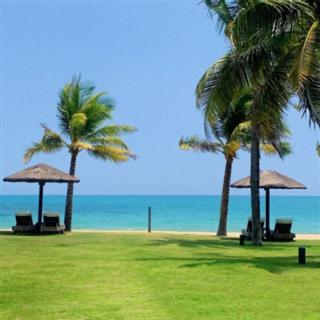 沧海