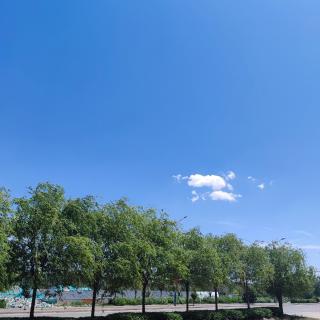 谁主沉浮