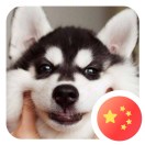 可意。