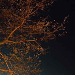木辞