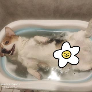 洛克不菲勒