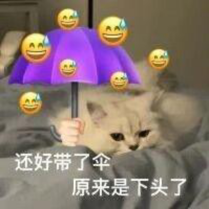 ^莎钦.₅₁₁₄🍟