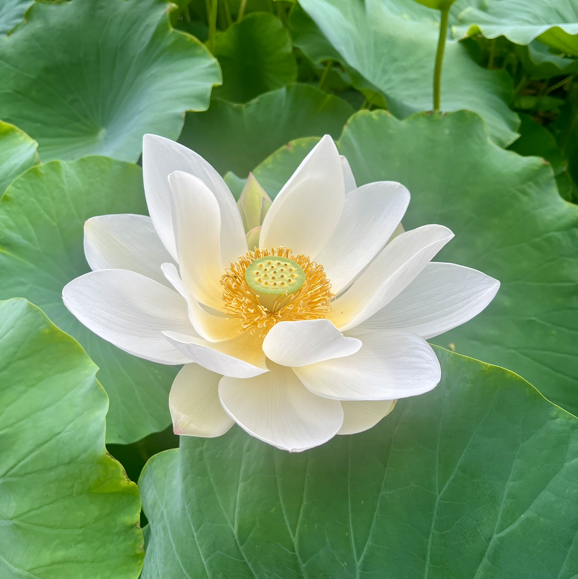 ～好心情～