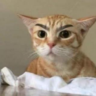 超级无敌青檀派掌门师兄
