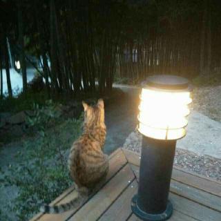 一般般
