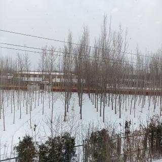 weiyonzhi