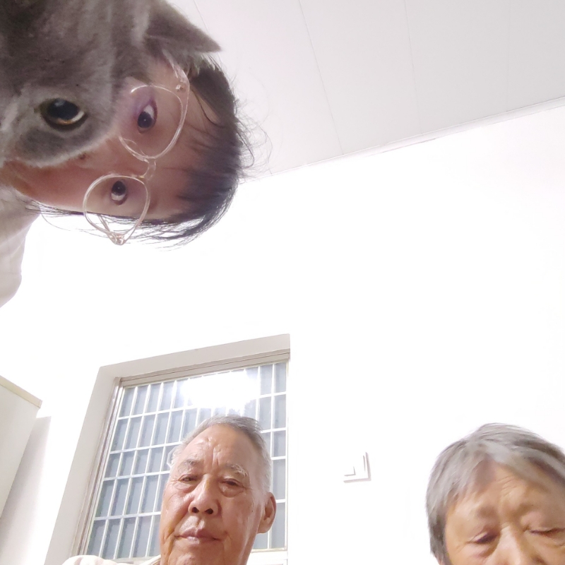 咪咕