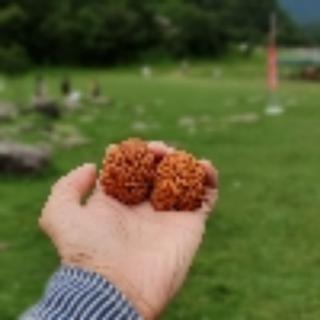 穆巍