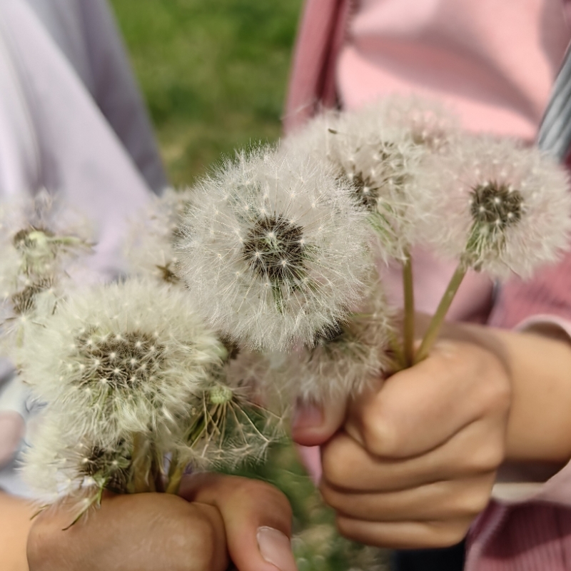 爱笑的小乐乐愛