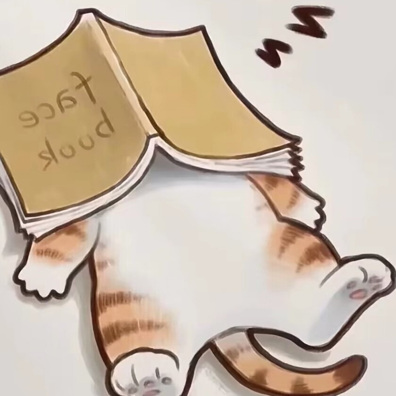 猫先生